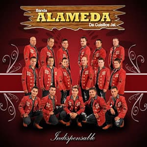 Banda alameda contratacion