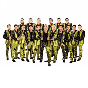 Banda caña verde contratacion