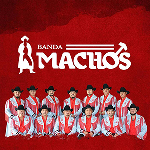 Banda machos contratacion