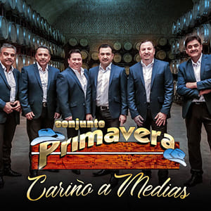 Conjunto primavera contratacion