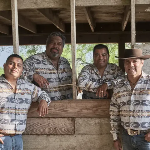 Los Palominos