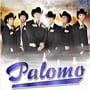 Grupo palomo contratacion